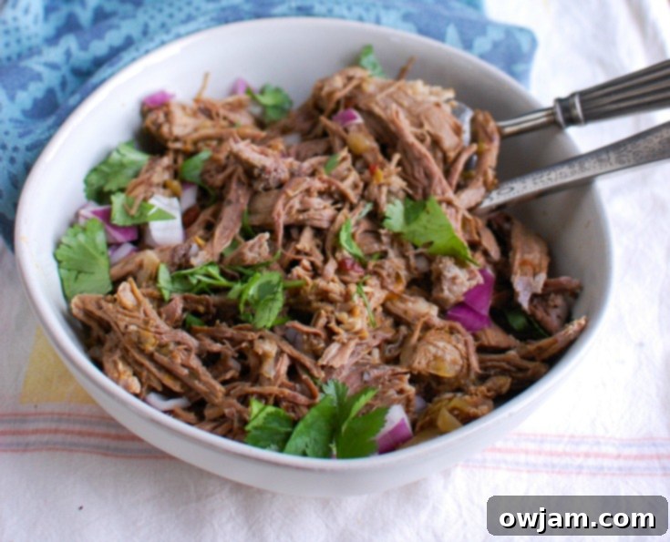 A close-up of fresh ingredients for Slow Cooker Beef Barbacoa, including various spices, limes, and chilis.