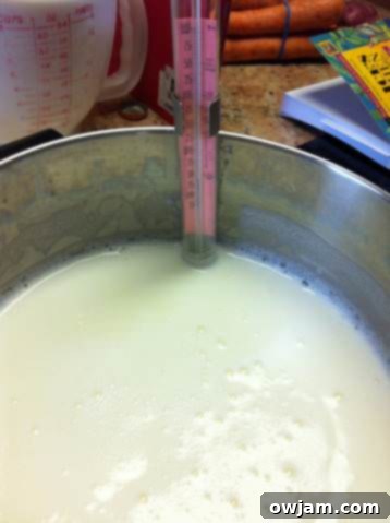 Homemade Yogurt or Laban temperature check