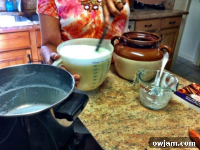 Ingredients for Homemade Yogurt with stirring spoon