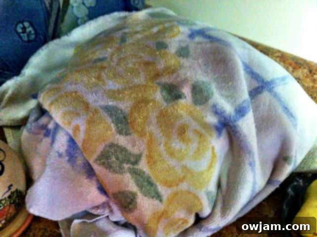 Resting Homemade Yogurt container wrapped in towel