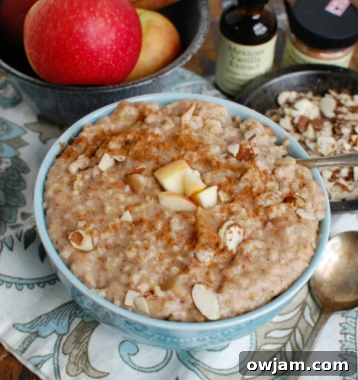 Overnight Slow Cooker Steel Cut Oatmeal 4 A bowl of Slow Cooker Steel Cut Oatmeal garnished with apple slices and cinnamon.
