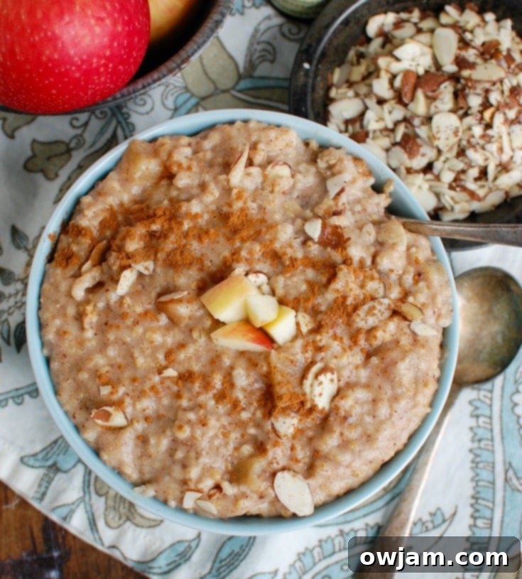 Overnight Slow Cooker Steel Cut Oatmeal 5 Slow Cooker Steel Cut Oats in a blue bowl with a spoon, ready to be customized.
