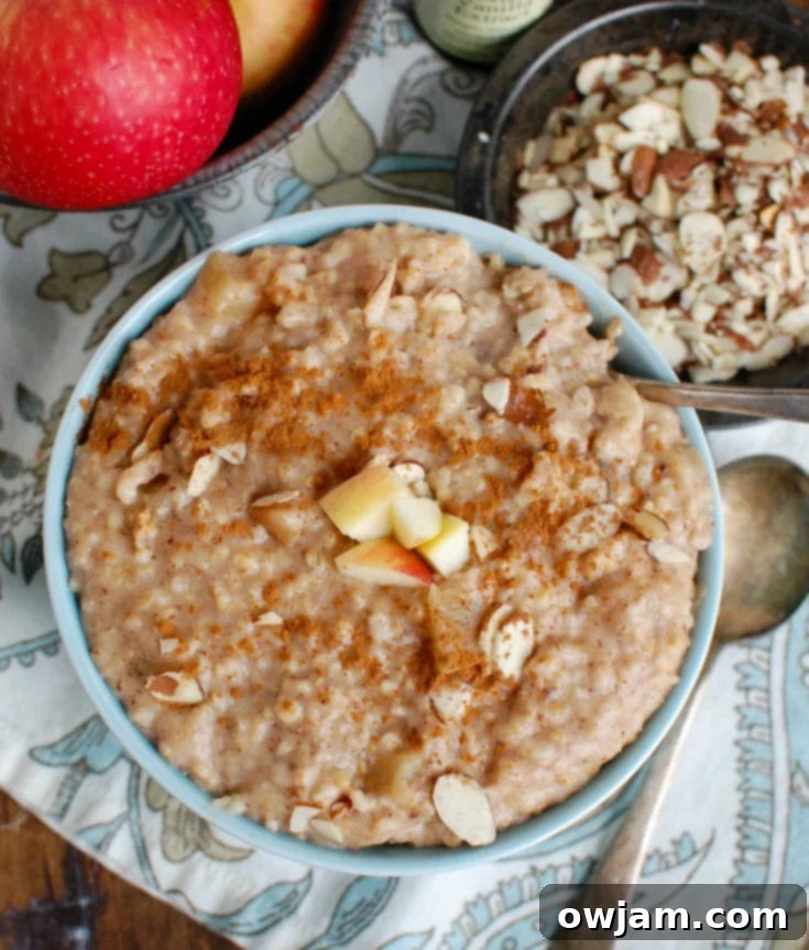 Overnight Slow Cooker Steel Cut Oatmeal 6 A bowl of Slow Cooker Steel Cut Oatmeal with scattered almonds and a spoon.