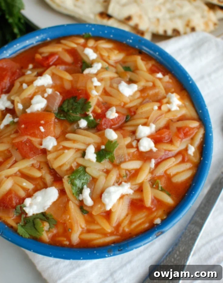 Velvety Tomato Herb Orzo Skillet 2 One Pot Creamy Tomato Herb Orzo in Blue Bowl