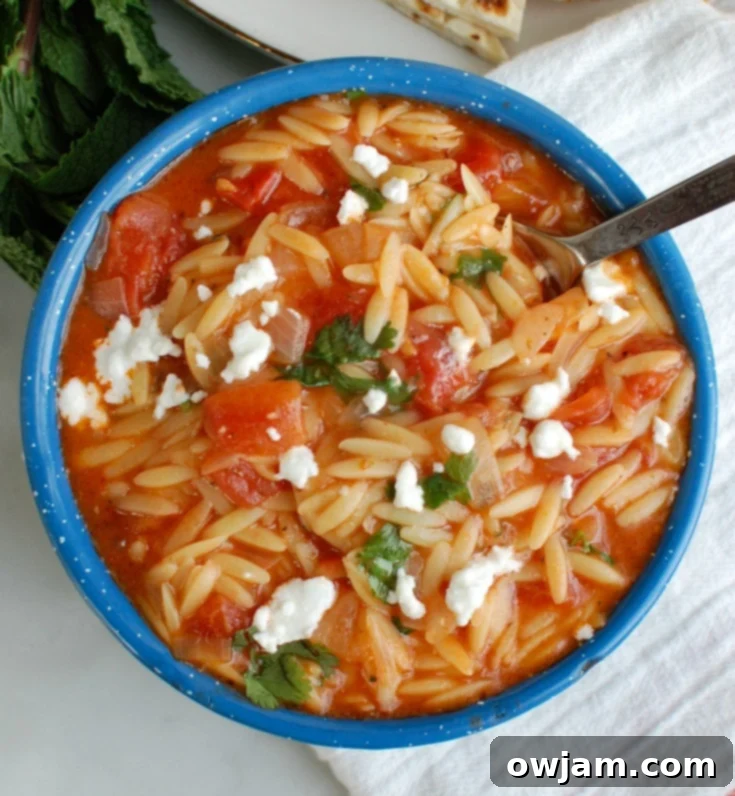 Velvety Tomato Herb Orzo Skillet 3 One Pot Creamy Tomato Herb Orzo with fresh herbs