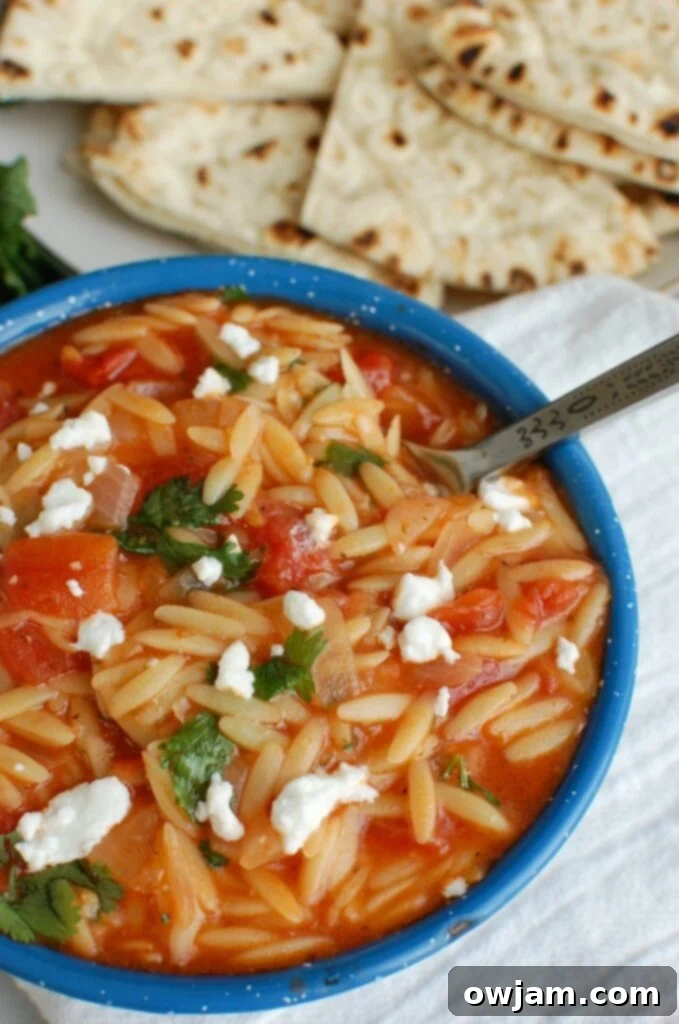 Velvety Tomato Herb Orzo Skillet 4 One Pot Creamy Tomato Herb Orzo Side Angle with spoon