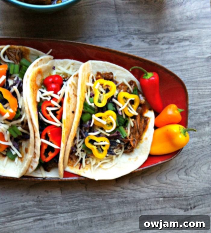 Collection of 15 Back to School Crockpot Recipes for Busy Families