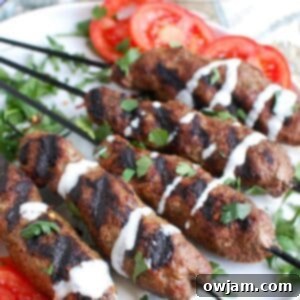 Beef Kafta Kabob Recipe 1200 x 1200