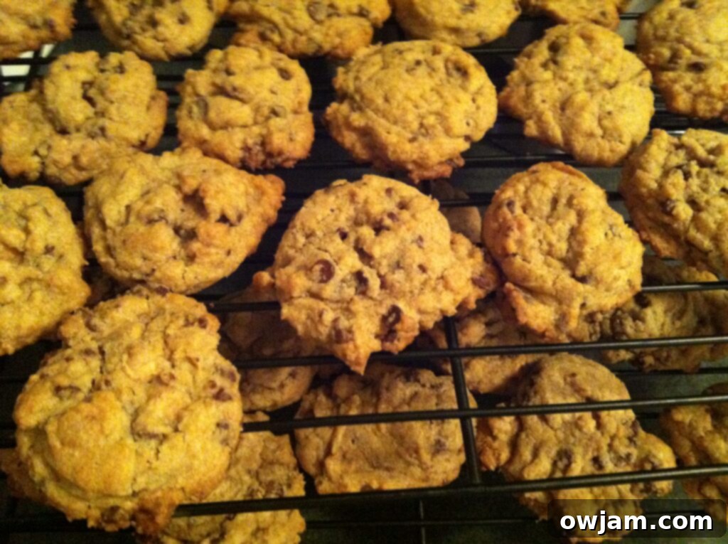 Freshly baked Chocolate and Peanut Butter Chip Cookies cooling on a wire rack