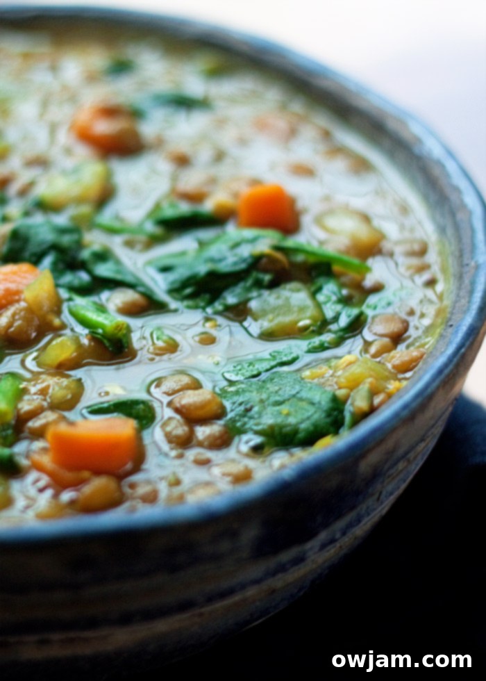 13 Instant Pot Recipes You'll Crave 14 A comforting bowl of Instant Pot Vegan Golden Lentil & Spinach Soup, showcasing a vibrant and healthy plant-based meal, garnished with fresh herbs.