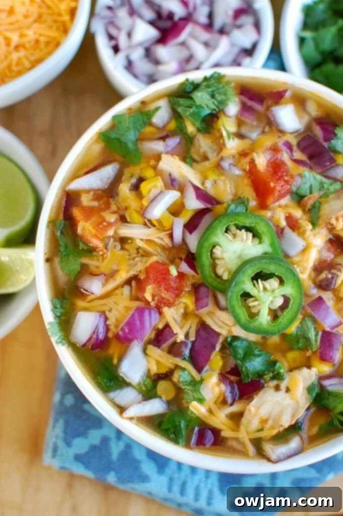 13 Instant Pot Recipes You'll Crave 6 A comforting bowl of Instant Pot Chicken Tortilla Soup, generously filled with tender chicken, black beans, corn, diced tomatoes, and a savory blend of Mexican spices.