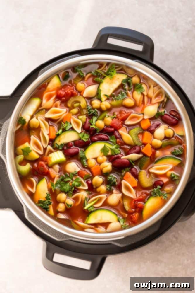 13 Instant Pot Recipes You'll Crave 8 A hearty bowl of Instant Pot Minestrone Soup, generously packed with a colorful variety of vegetables, beans, and small pasta in a rich tomato-based broth.