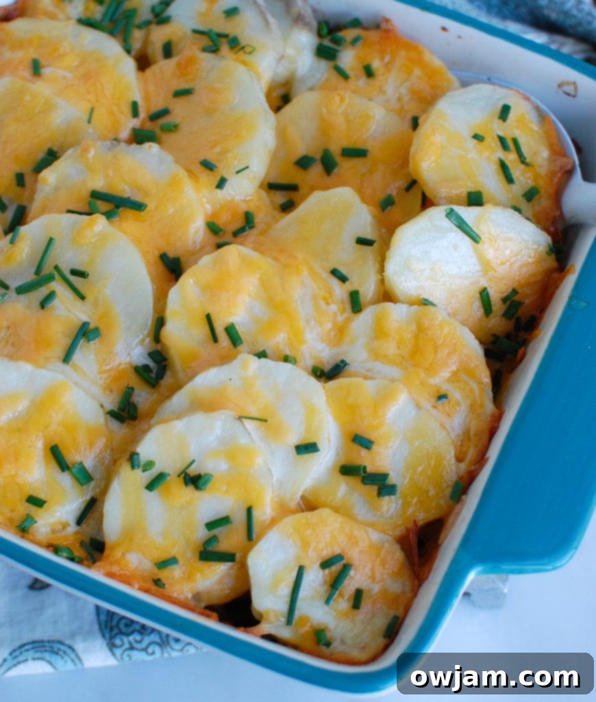 Decadent Spinach Artichoke Potato Gratin 2 Spinach Artichoke Scalloped Potatoes Blue Dish