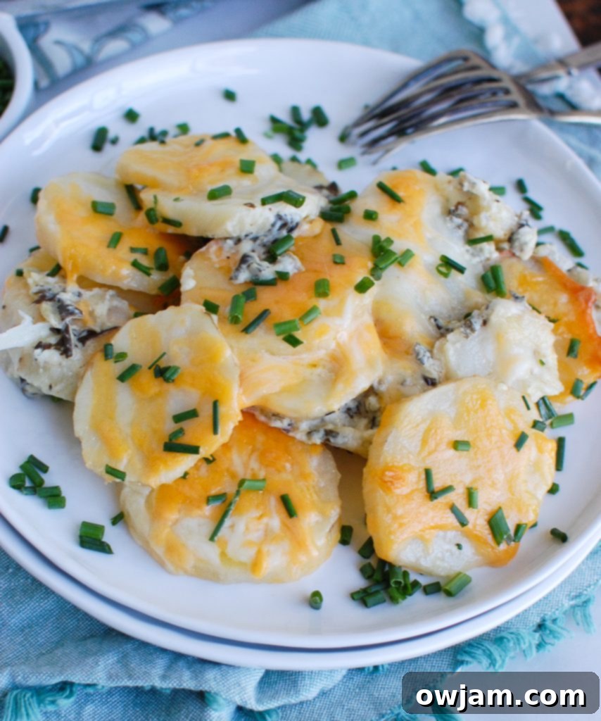 Decadent Spinach Artichoke Potato Gratin 3 Spinach Artichoke Scalloped Potatoes Plate
