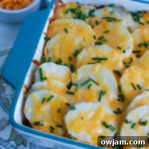 Decadent Spinach Artichoke Potato Gratin 6 Spinach Artichoke Scalloped Potatoes Blue Baking Dish