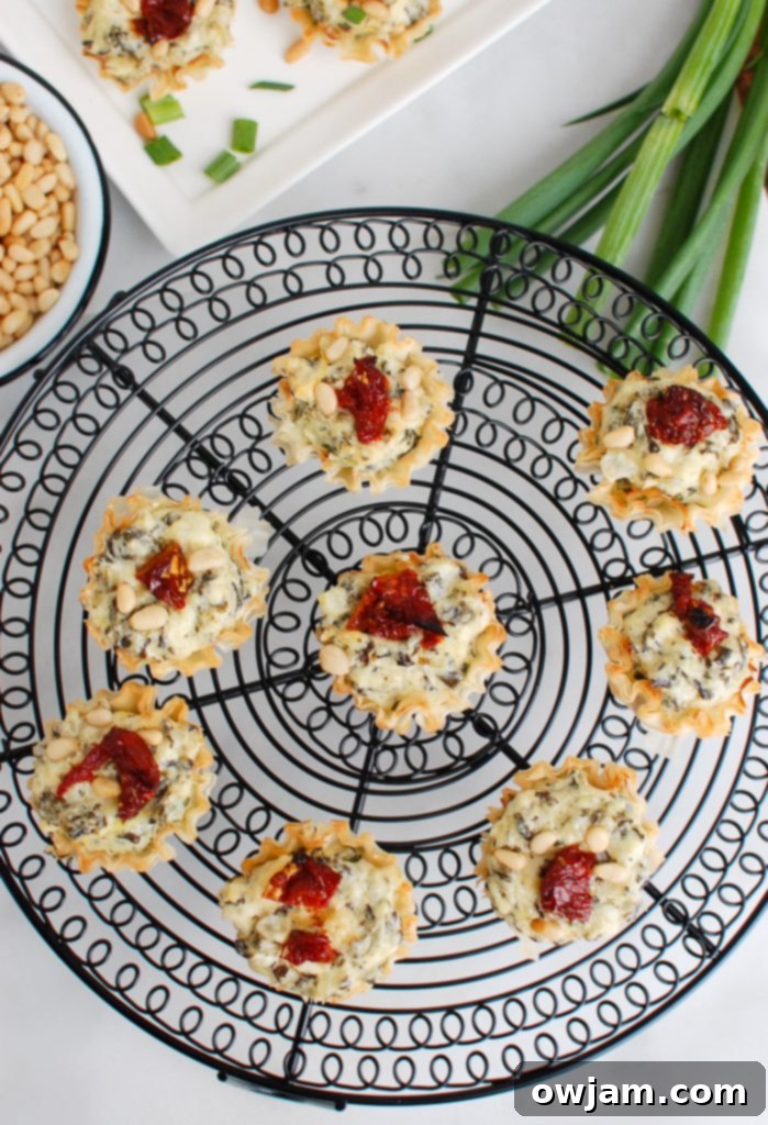 Overhead view of multiple spinach artichoke sun-dried tomato phyllo bites on a wire rack, ready to serve