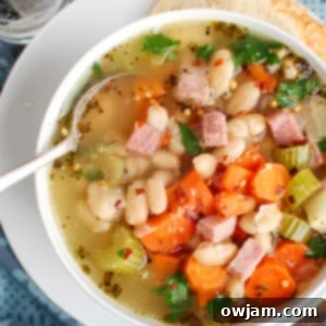 Hearty White Bean and Ham Soup 6 Hearty White Bean and Ham Soup