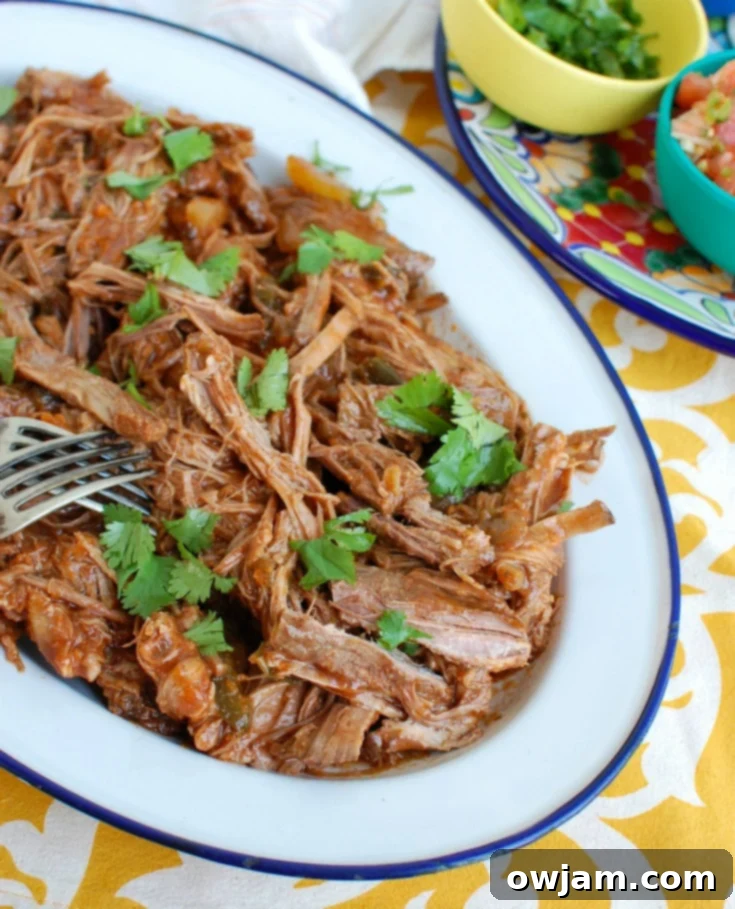 Slow Cooker Mexican Beef Brisket on a plate, garnished with cilantro
