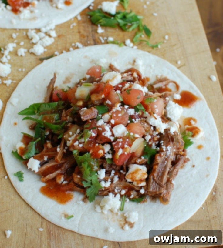 Single Slow Cooker Mexican Beef Brisket taco with fresh cilantro