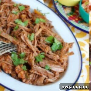 Slow Cooker Mexican Beef Brisket ready to be served