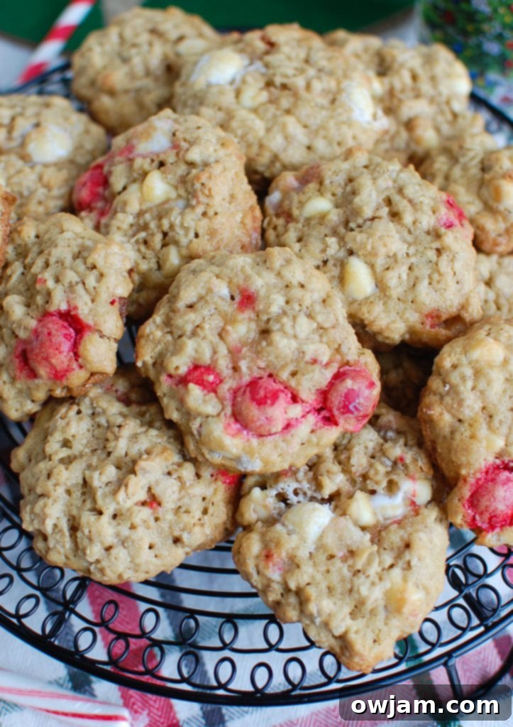 Peppermint White Chocolate Oat Delights 4 Oatmeal White Chocolate Peppermint Cookies for Christmas