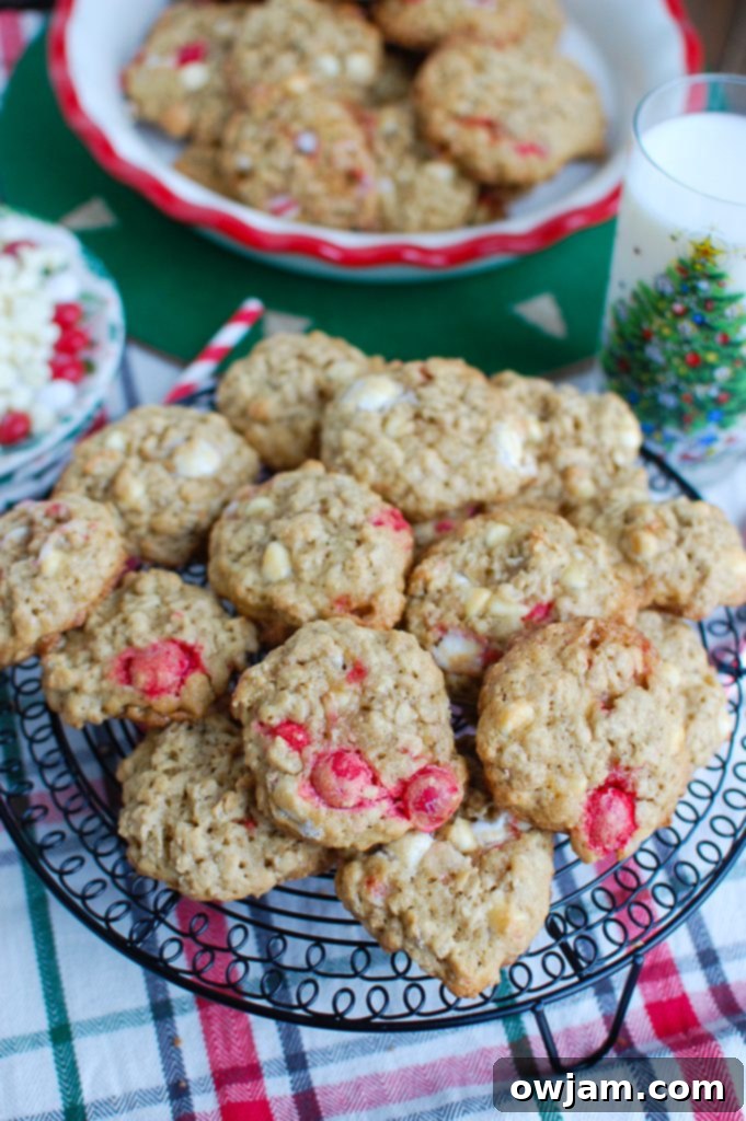 Peppermint White Chocolate Oat Delights 5 Oatmeal White Chocolate Peppermint Cookies Red and White