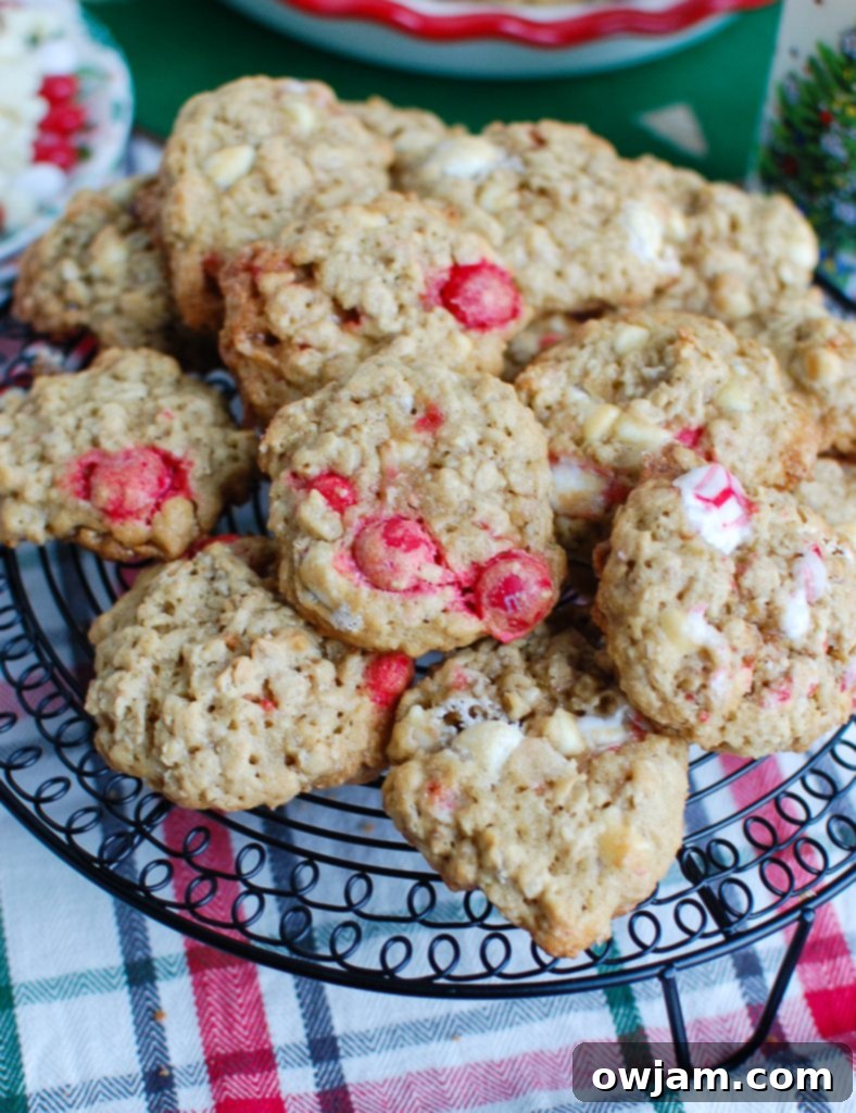 Peppermint White Chocolate Oat Delights 6 Oatmeal White Chocolate Peppermint Cookies On a Tray