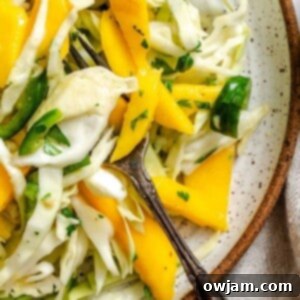 Quick Tropical Mango Cabbage Slaw 9 Easy Mango Cabbage Coleslaw 1200 x 1200