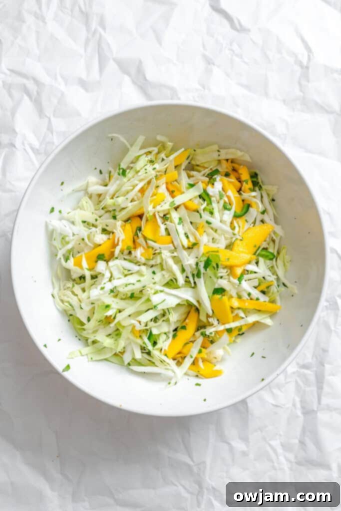 Quick Tropical Mango Cabbage Slaw 7 Fresh Mango Cabbage Coleslaw ingredients mixed in a bowl