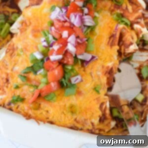 Classic Beef Enchiladas 6 Beef Enchiladas 1200 x 1200