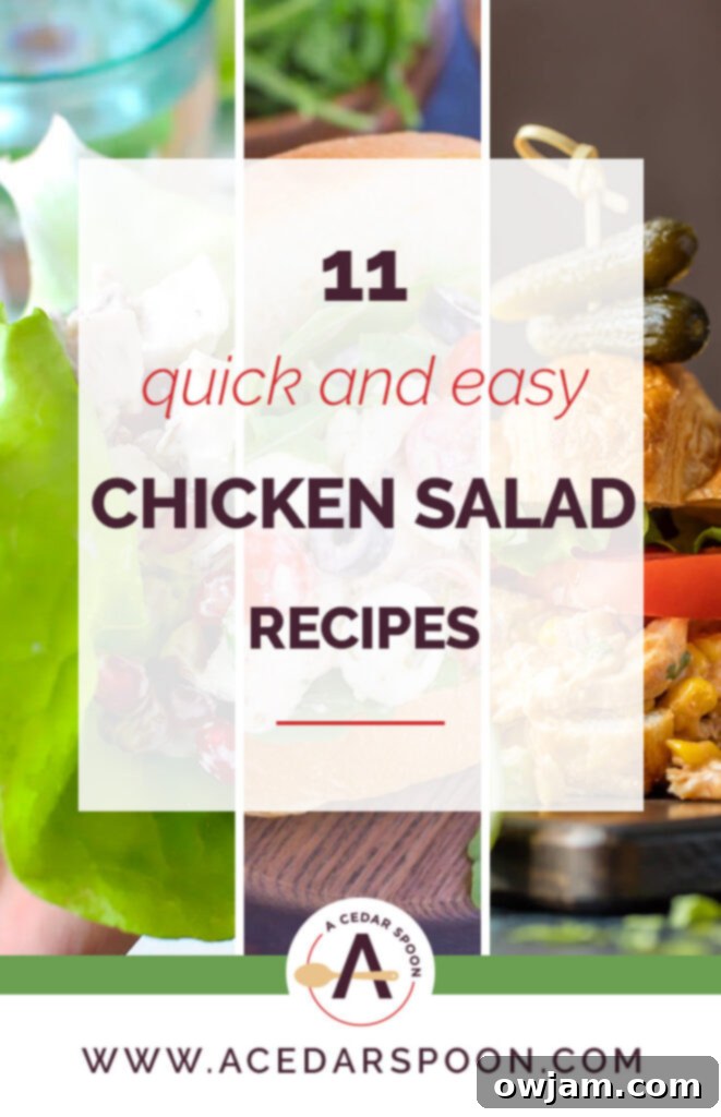 11 Effortless Chicken Salad Recipes 2 A vibrant and fresh chicken salad with various ingredients, perfect for a quick, healthy lunch or picnic. Features shredded chicken, crisp vegetables, and a creamy dressing, hinting at the ease of using a rotisserie chicken.