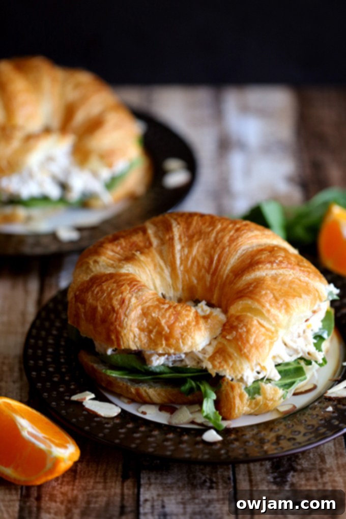 11 Effortless Chicken Salad Recipes 11 Refreshing Mandarin Orange Chicken Salad, featuring juicy mandarin oranges, crisp vegetables, and a light, citrusy dressing, perfect for a bright and zesty meal.