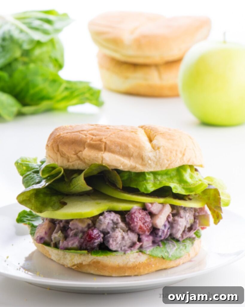 11 Effortless Chicken Salad Recipes 13 Plant-based Vegan Chicken Salad Sandwich, made with a chickpea or other plant-based 'chicken' substitute, offering a delicious and cruelty-free alternative to traditional chicken salad.