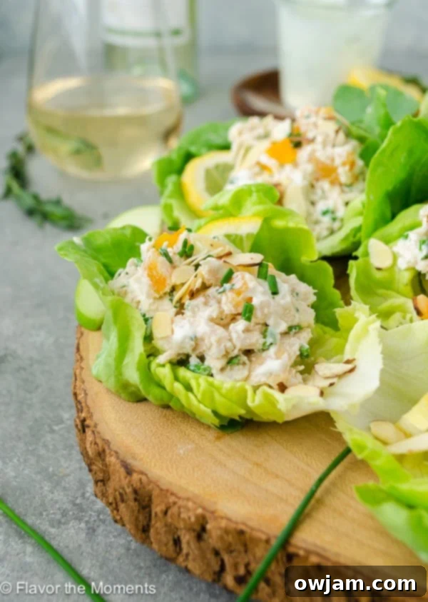 11 Effortless Chicken Salad Recipes 6 Fresh Lemon Tarragon Chicken Salad Lettuce Wraps, offering a bright and herbaceous flavor profile, served in refreshing lettuce cups for a light and healthy meal.