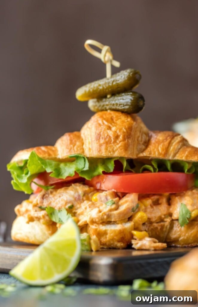 11 Effortless Chicken Salad Recipes 9 Zesty Mexican Chicken Salad Sandwiches, packed with Southwestern flavors like corn, black beans, peppers, and a creamy, spiced dressing, perfect for a hearty sandwich.
