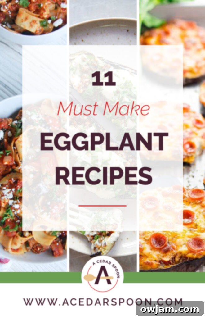 11 Incredible Eggplant Dishes 2 11 Must Make Eggplant Recipes Collage showcasing various eggplant dishes like salads, pizzas, and dips.
