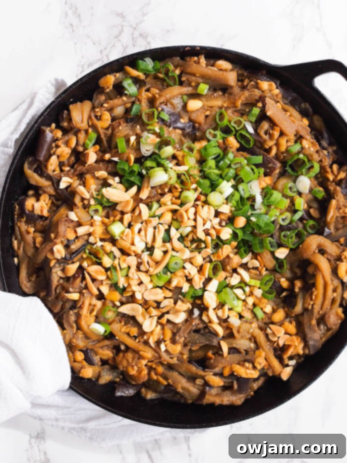 11 Incredible Eggplant Dishes 4 Vegan Dan Dan Eggplant Noodles