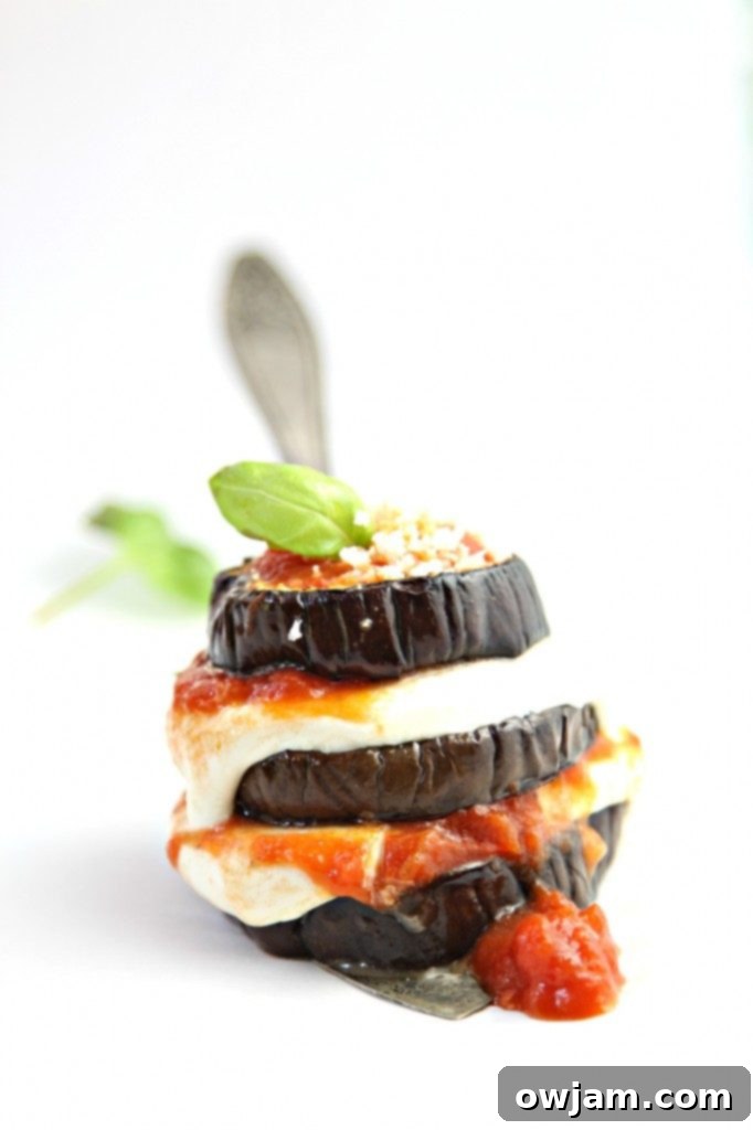 11 Incredible Eggplant Dishes 6 Baked Eggplant Parmesan Stacks with marinara and mozzarella