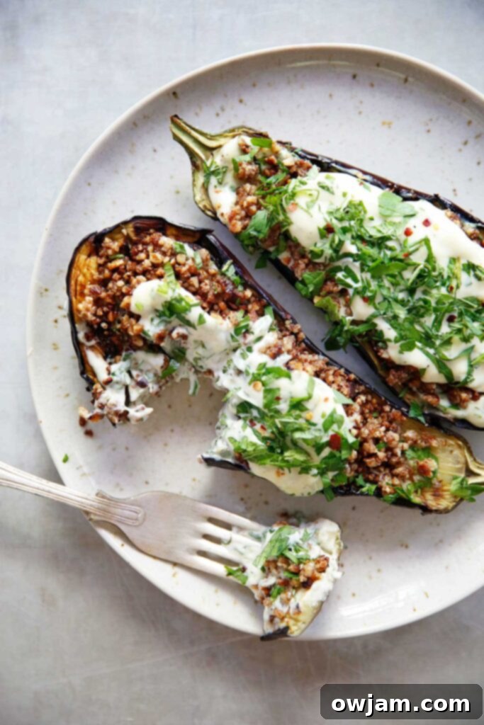11 Incredible Eggplant Dishes 9 Loaded Grilled Eggplant with Creamy Herb Sauce, a vegetarian main course