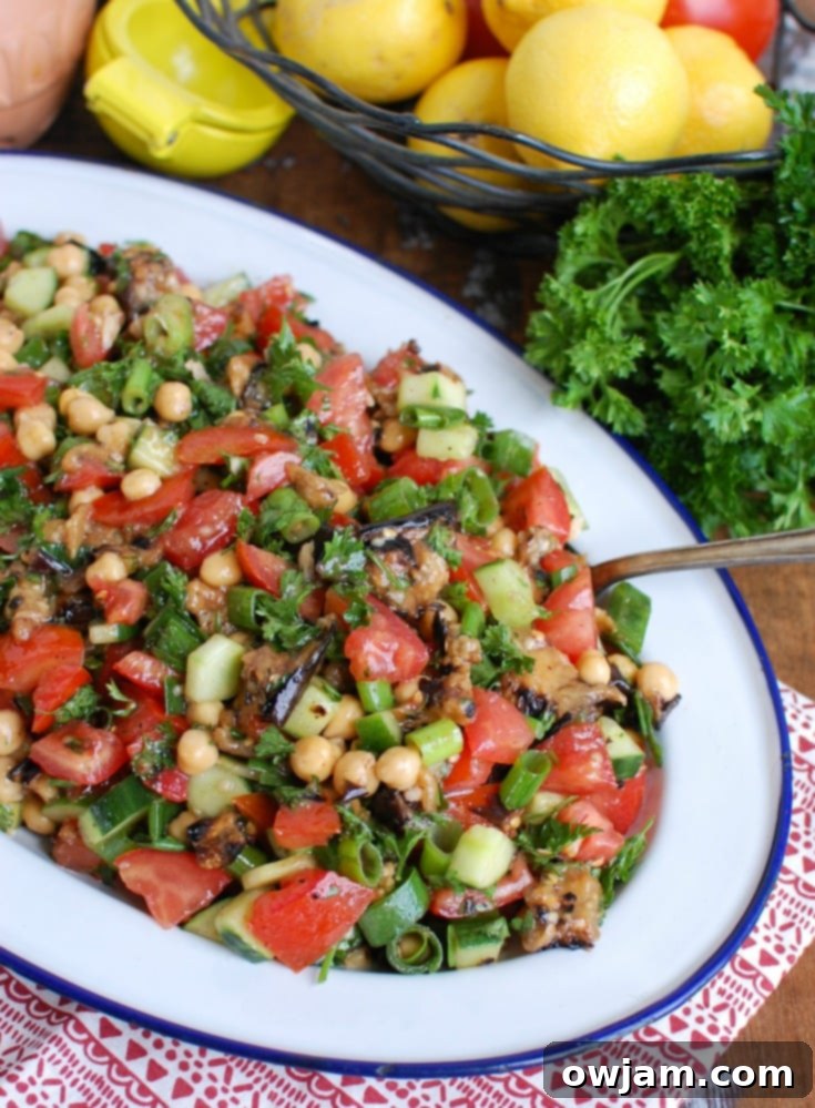 Vibrant Mediterranean Eggplant Chickpea Salad 2 Mediterranean Eggplant Chickpea Salad on Side View, showcasing fresh ingredients and a light dressing