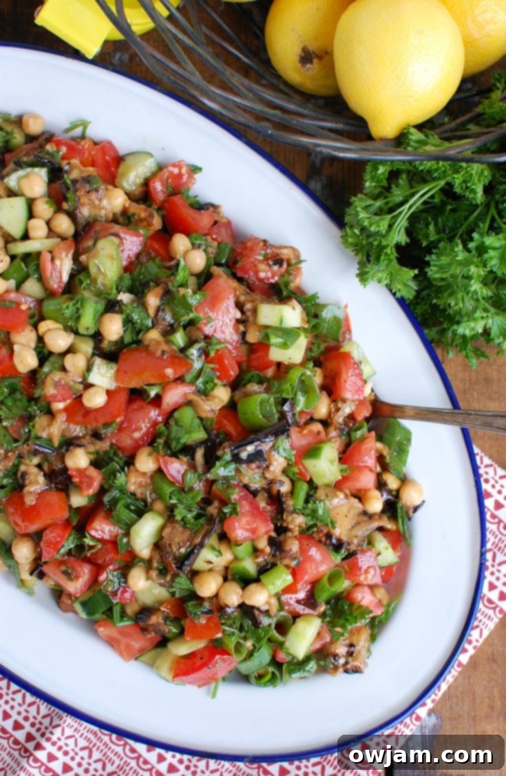 Vibrant Mediterranean Eggplant Chickpea Salad 4 Mediterranean Eggplant Chickpea Salad on White Blue Platter, showing a close-up of the delicious texture