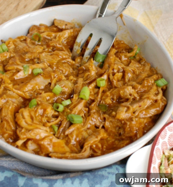 How to Make Pork Tenderloin in the Slow Cooker Shredded Pork