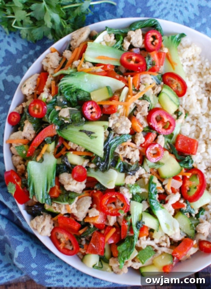 Spicy Thai Basil Chicken Stir-Fry White Plate 