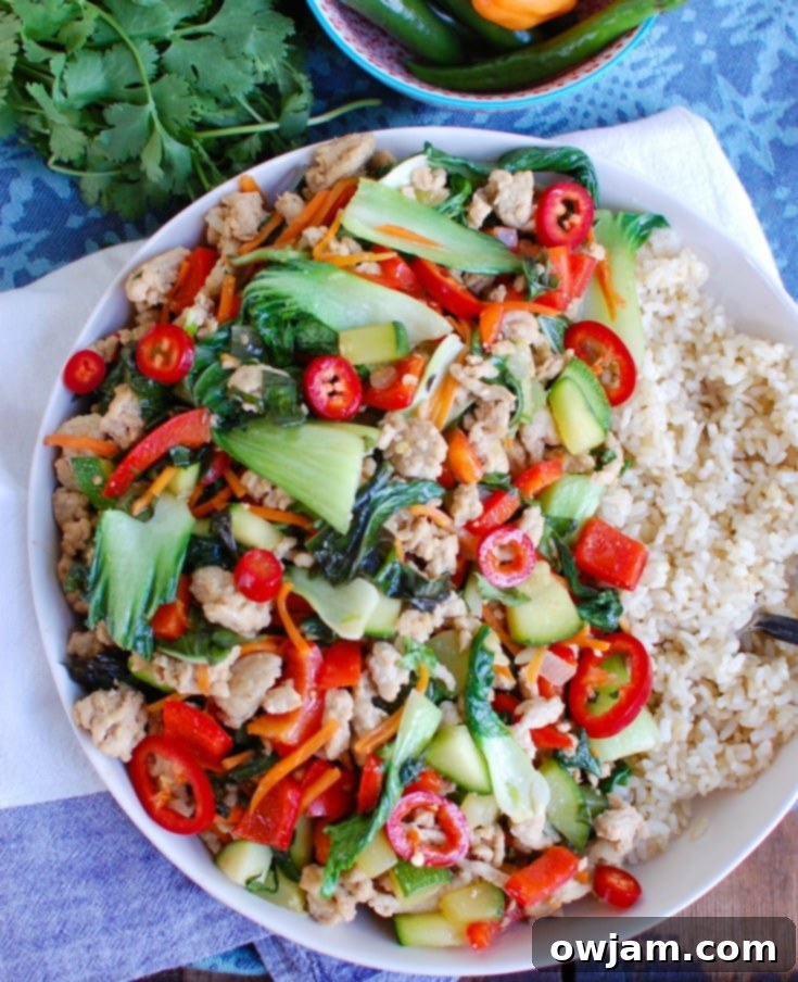 Spicy Thai Basil Chicken Stir-Fry Full White Plate