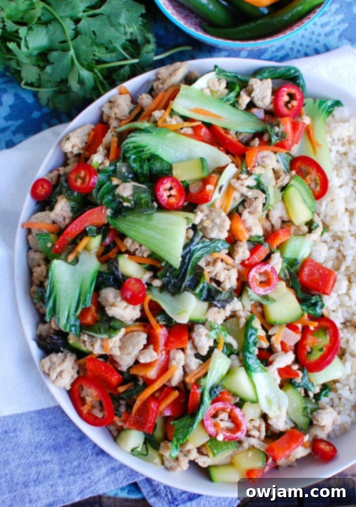 Spicy Thai Basil Chicken Stir-Fry Half Plate 