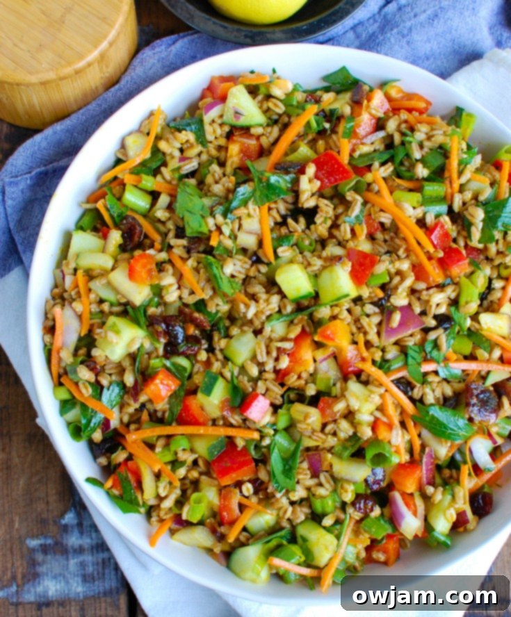 Refreshing Summer Farro Salad 2 Overhead view of Easy Summer Farro Salad in a white bowl