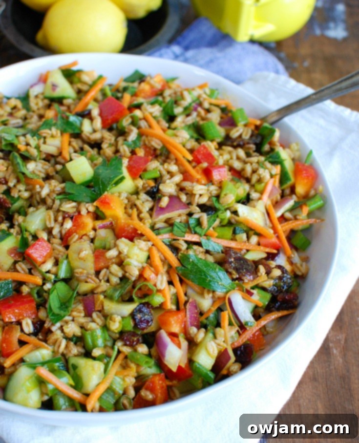 Refreshing Summer Farro Salad 4 Easy Summer Farro Salad in a white bowl, close-up