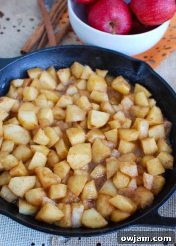 Cozy Skillet Apples 2 Easy Skillet Apples Side View