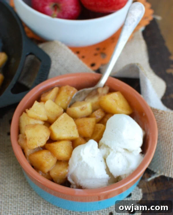 Cozy Skillet Apples 5 Easy Skillet Apples with Ice Cream