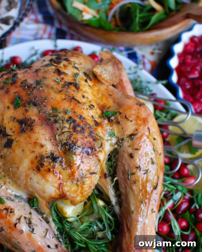 Holiday Herb Butter Turkey 2 Herb Butter Roasted Turkey on White Platter, garnished with fresh herbs